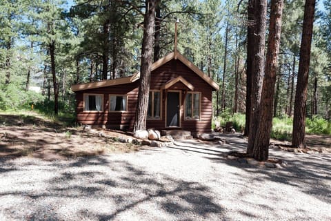 Pet Friendly Vacation Rental Cabin on 3.5 Acres between Durango and Purgatory Resort.