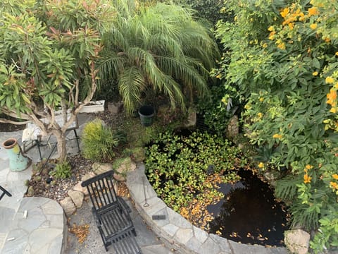 view from the balcony of the cottage