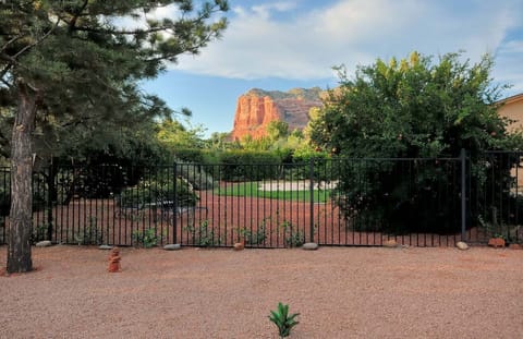 Views from the back yard
