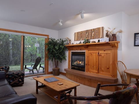 Living room with fireplace
