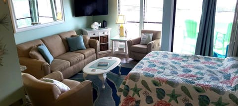 living area with Murphy bed in down position.