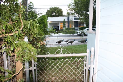 Street view from side of the house