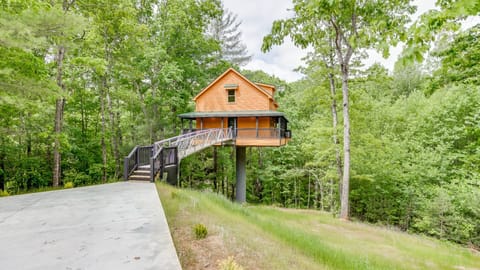 A True Treehouse-Nearly 75 ft Height off the Back