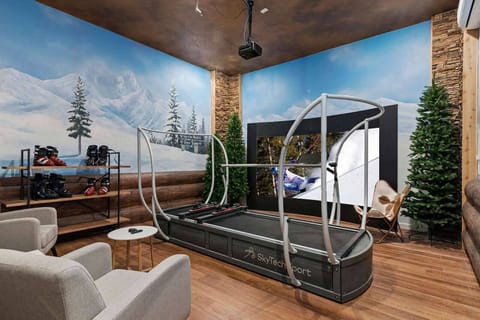 Ski Simulator Room
