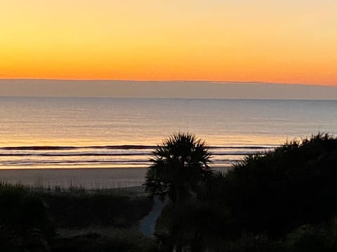 Morning View