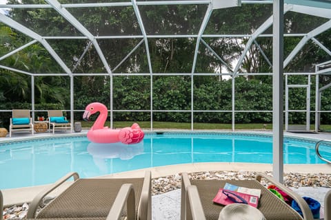Screened in lanai. Perfectly private pool and backyard, heated to 88 degrees!!