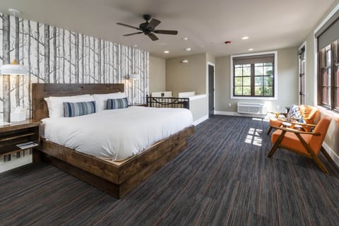 Room 102 | Down comforters, soundproofing, free WiFi, bed sheets