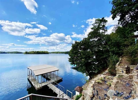 Dock View