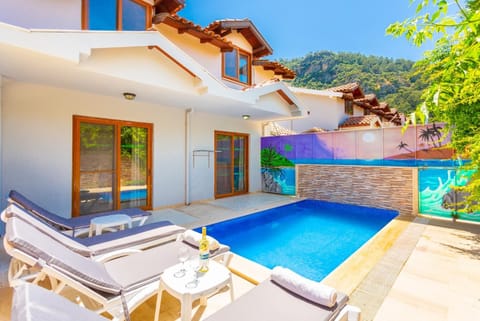 Beautiful villa with private pool and terrace