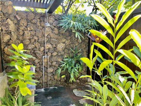 Second outdoor shower off of guest suite.
