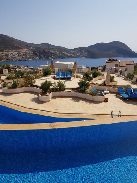View from the terrace