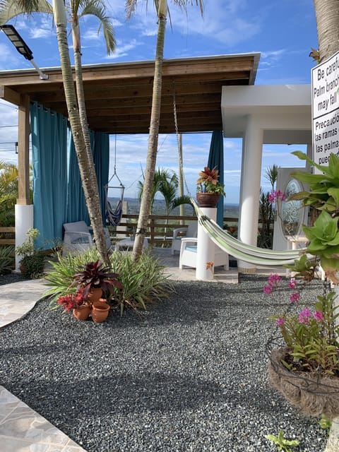 Hamaca y terraza 