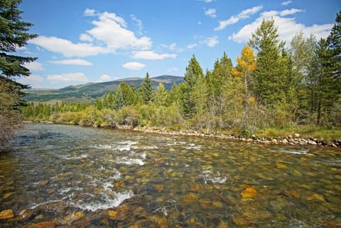 Blue River