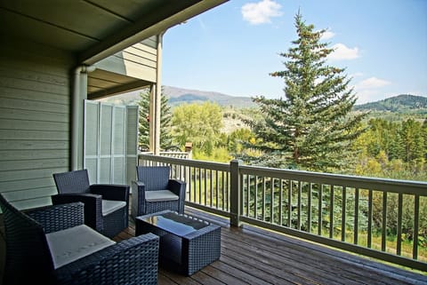 Mountain Views