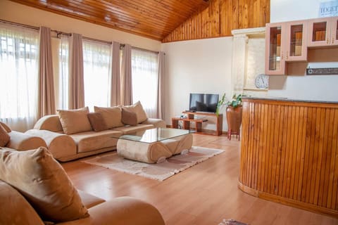 House | Living area | 30-inch TV with digital channels, fireplace