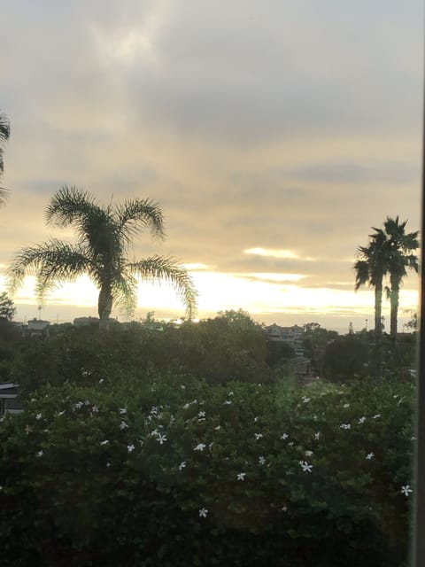 Looking west as the sun sets.