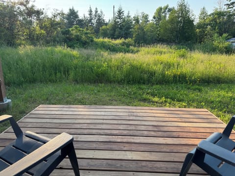 Back deck and yard. Within city limits, but with a great woodsy back yard.