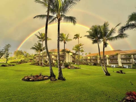 Rainbow from the Lanai!