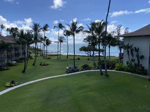 Lanai View