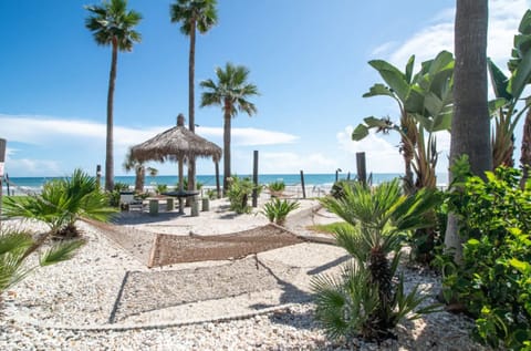On the beach, white sand