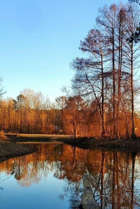 Lake