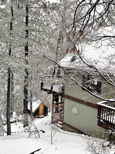 Winter at MCR cabin with Sisters Cove tree house in the background.