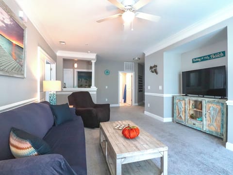 Living Room TV Area