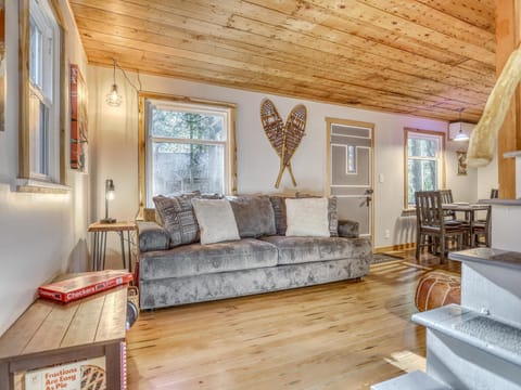 living area with hide-a-bed couch