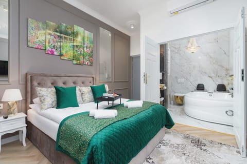 Amazing air-conditioned studio apartment with jacuzzi.