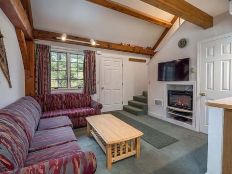 Living area with Electric Fireplace and flat screen TV