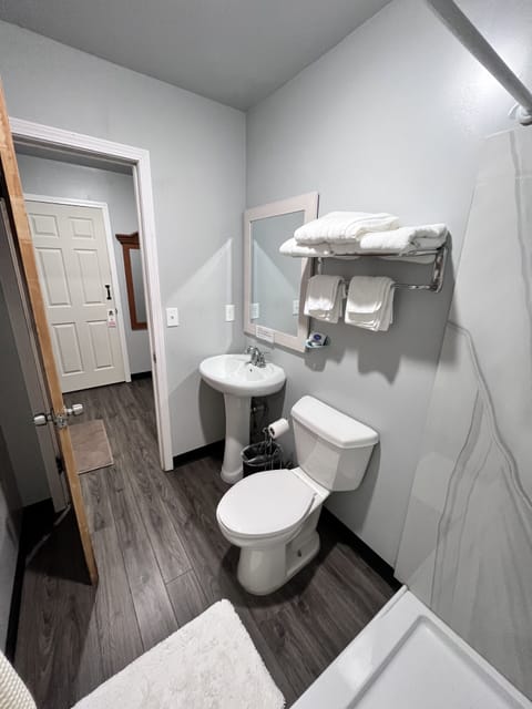 Deluxe Double Room | Bathroom | Shower, rainfall showerhead, free toiletries, hair dryer