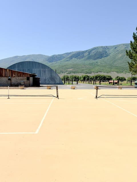 Double pickleball/half court