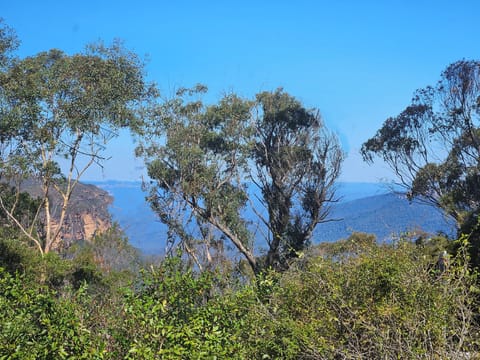 The view from the Kitchen window.