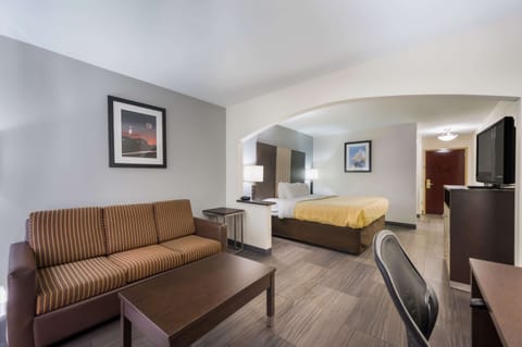 Suite, 1 King Bed | Desk, laptop workspace, blackout drapes, iron/ironing board