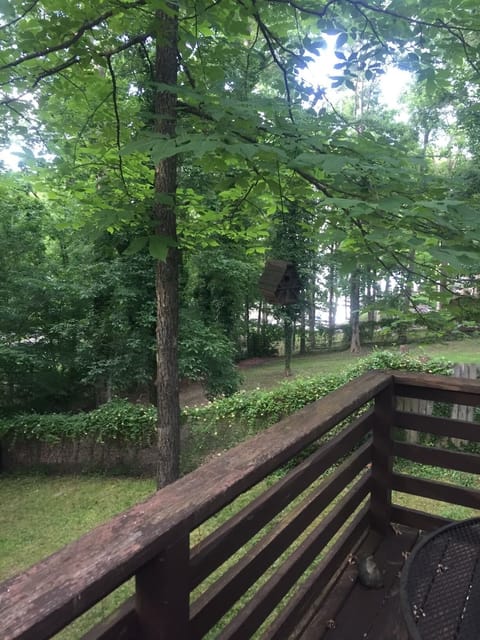 Main lake view from back deck