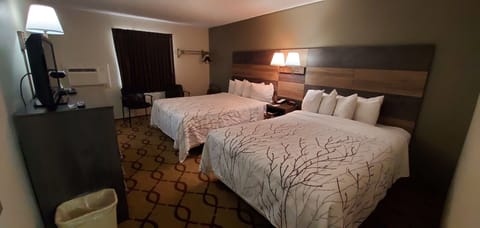 Basic Room, 2 Queen Beds | 1 bedroom, premium bedding, blackout drapes, soundproofing