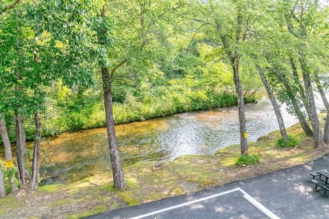 River view from back porch
