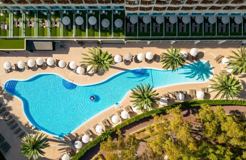 Outdoor pool, pool umbrellas, sun loungers