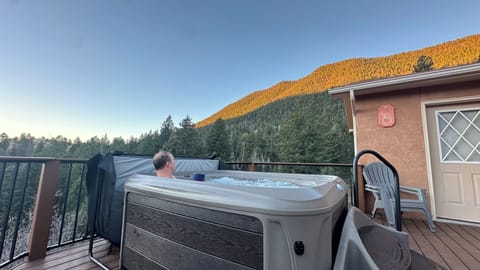 Newly installed four-person hottub. Handrail and stairs included. 