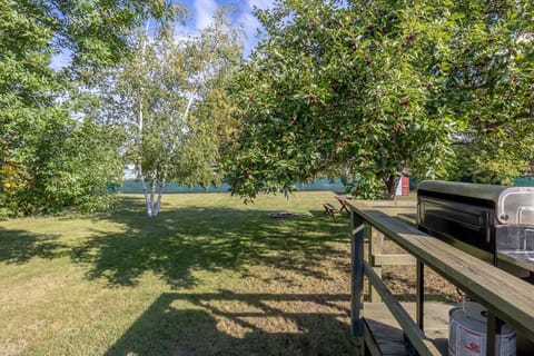 Backyard W/grill & Fireplace