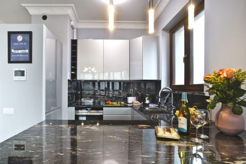 Luxury Apartment | Private kitchen | Fridge, oven, stovetop, dishwasher