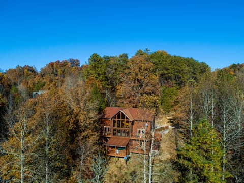 Your treetop getaway.