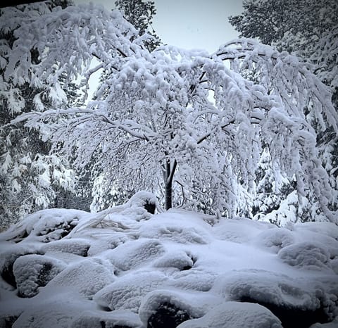 Stunning view from bed after a storm