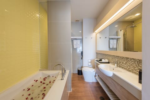 Shower, eco-friendly toiletries, hair dryer, slippers