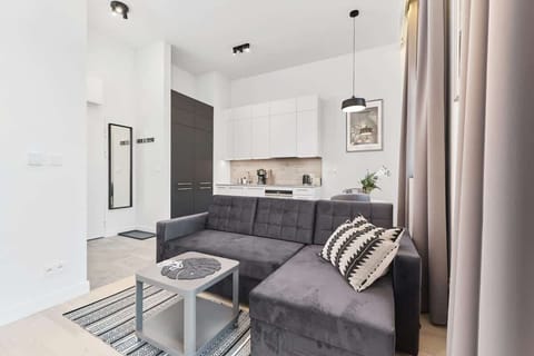 The living area features a sleek coffee table and a flat-screen television.