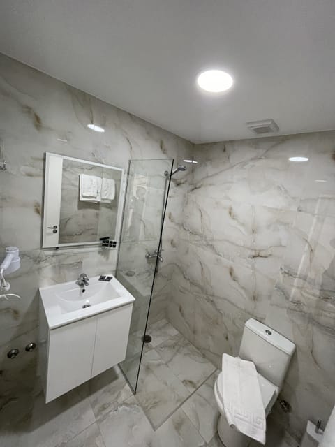 Shower, rainfall showerhead, hair dryer, slippers