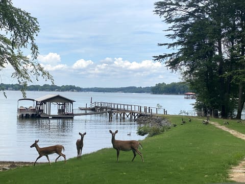 Lake