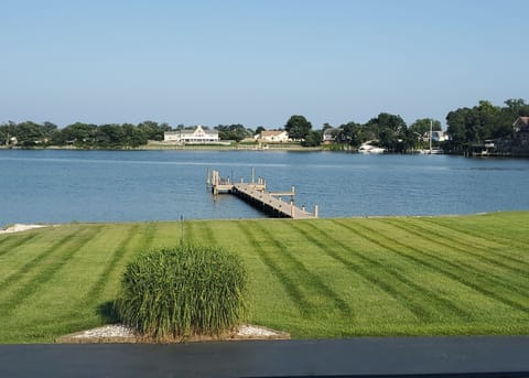 View from back deck looking onto the private dock and creek