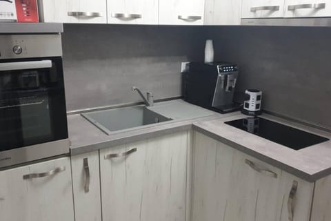 Apartment, 2 Double Beds | Private kitchen | Fridge, microwave, oven, stovetop