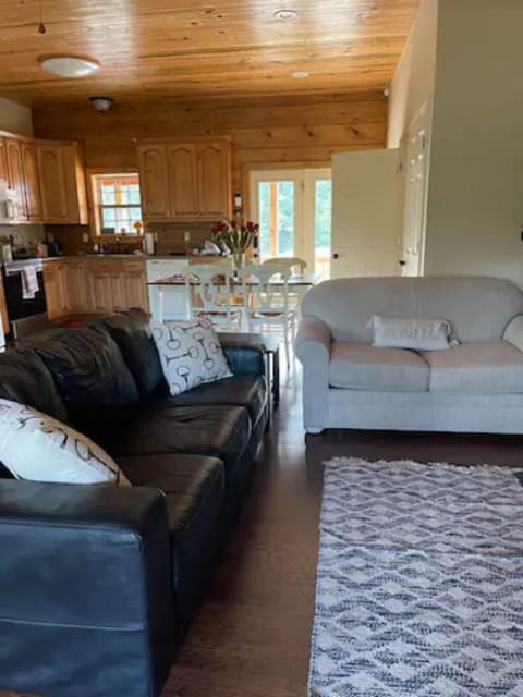 Living room. light colored love-seat is a pull-out.